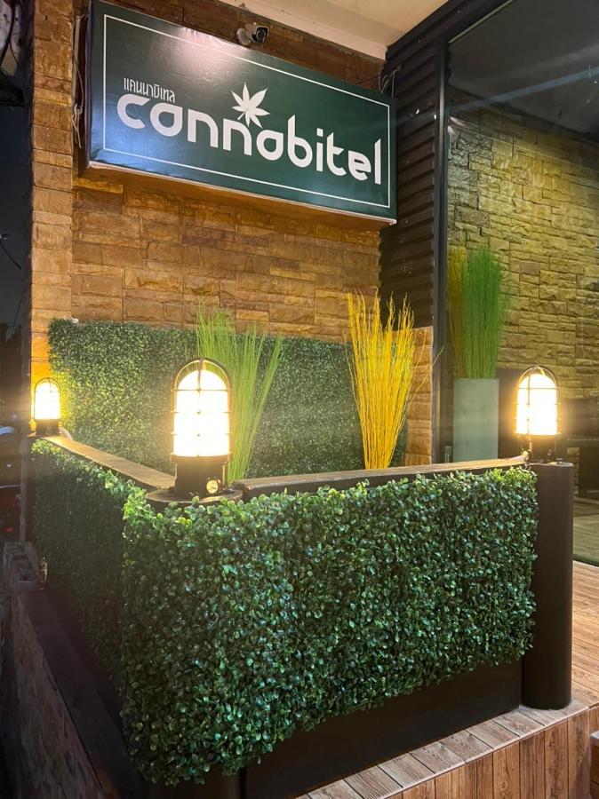 Cannabitel Hat Rin Buitenkant foto